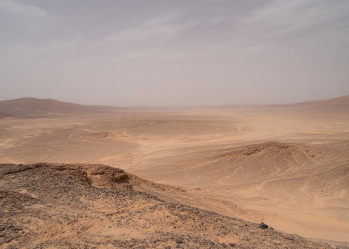 Arid desert landscape with sand dunes, rocks, and minimal vegetation, highlighting the harsh abiotic conditions.
