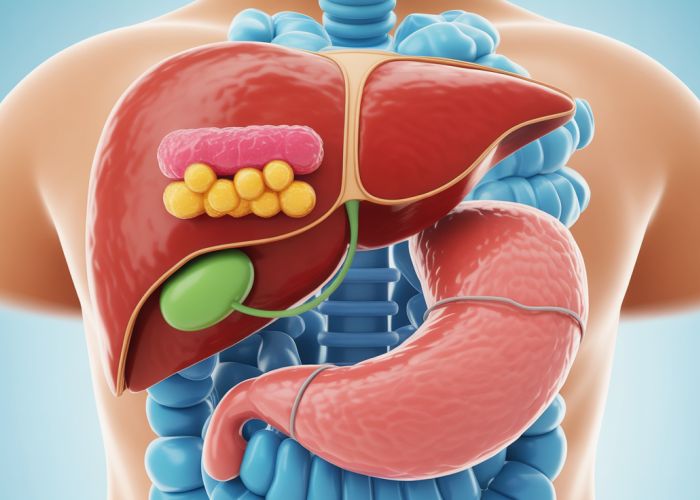 Illustration of glucose storage in the body, showing glucose being converted to glycogen in the liver and muscles.