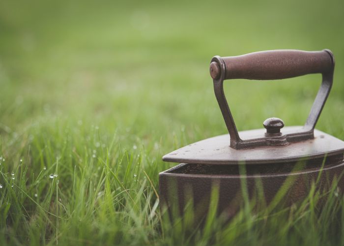 Vintage iron sitting on lush green grass.