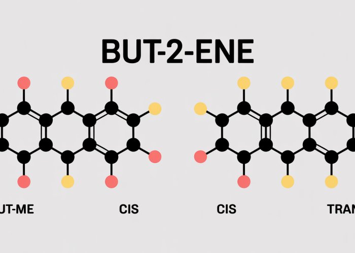 Illustration comparing cis and trans isomers of but-2-ene, showing spatial arrangement of methyl groups.