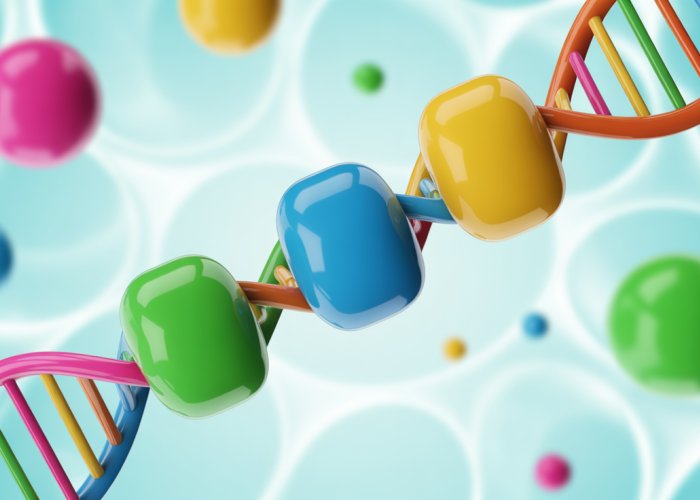 Colorful 3D illustration of DNA building blocks (A, T, G, C) forming a strand.