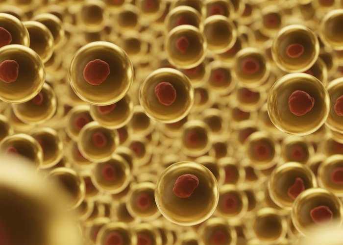 Microscopic view of gold atoms highlighting the protons in their nuclei, showcasing the density and energy within.