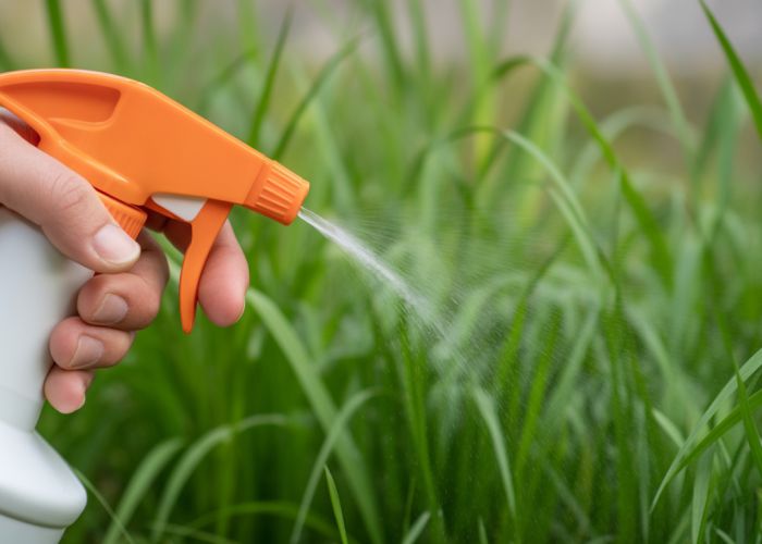 DIY Homemade Crabgrass Killer Recipe Using Vinegar and Dish Soap