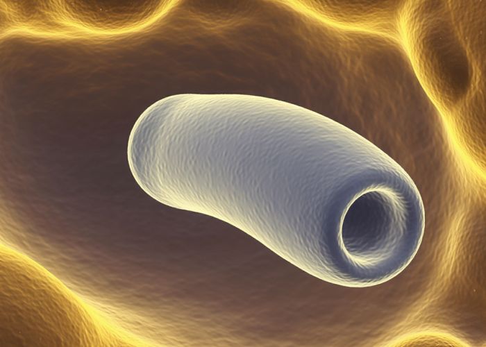 Microscopic view of a hyaline cast found in urine sediment, a common finding in routine urinalysis.