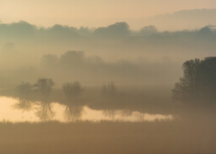 Landscape scene with trees and water partially hidden by mist, fog, and subtle smog.