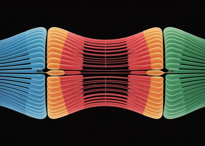 Illustration showing the contraction of a sarcomere, the functional unit of muscle, with actin and myosin filaments interacting.