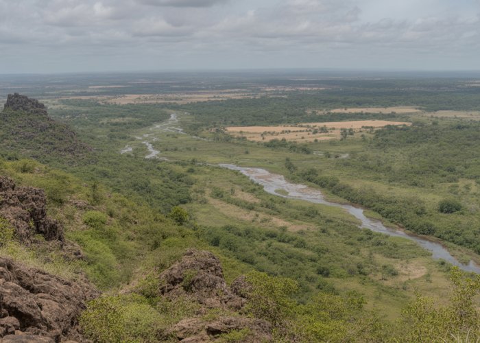 The Senegal River's source in the Fouta Djallon highlands of Guinea. Lush green landscape with small streams converging.